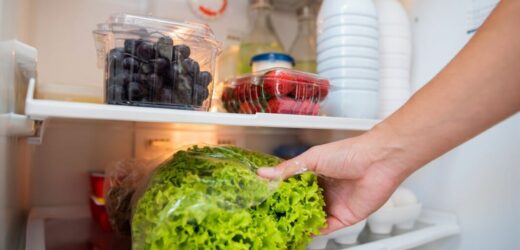 £1 kitchen staple keeps lettuce fresher for longer in the fridge