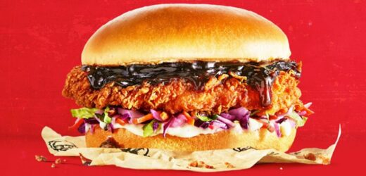 ‘KFC’s new Teriyaki Bites are delicious, but burger was disappointing’ – review