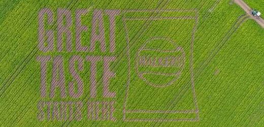 The world’s biggest billboard appears in a British potato field